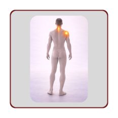 Kakla un plecu joslas